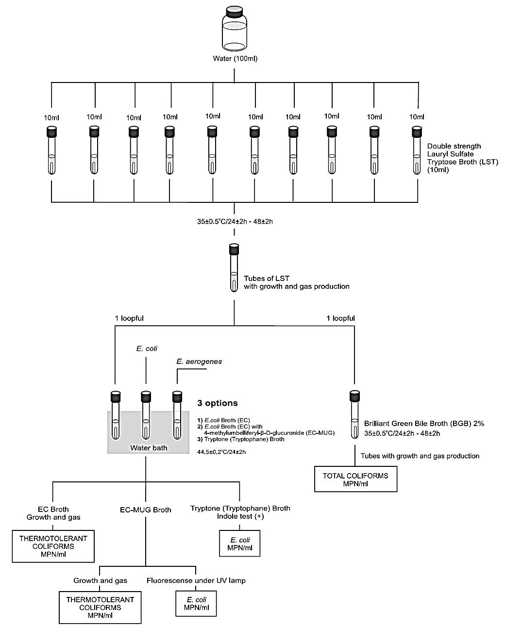 Most Probable Number Mpn Method Aphaawwawef 2005 For Total And