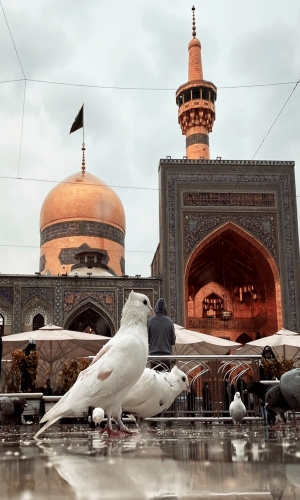 حرم الإمام الرضا عليه السلام