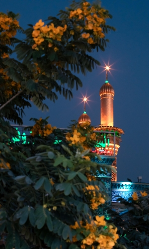 قبة ومنارة ابا الفضل العباس عليه السلام