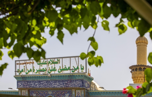  السلام عليك يا من مضى على بصيرة من أمره