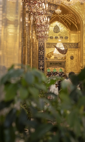 مرقد المولى أبي الفضل العباس (ع)