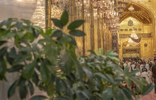  اَلسَّلامُ عَلَيْكَ يَابْنَ سَيِّدِ الْوَصِيِّينَ