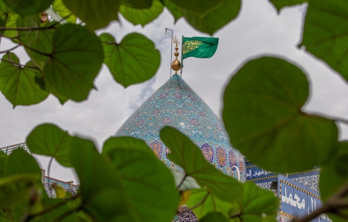 لسَّلامُ عَلَيكَ يا خَلِيفَةَ اللهِ وَناصِرَ حَقِّهِ